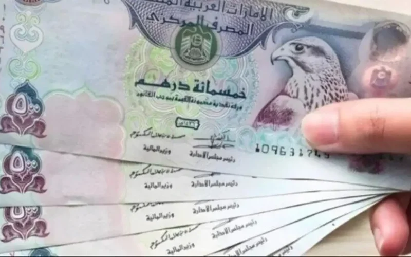 سعر الدرهم الإماراتي أمام الجنيه اليوم الأحد 30 نوفمبر 2025 وتأثيره على التحويلات المالية